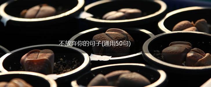 不放弃你的句子(通用50句),第1张