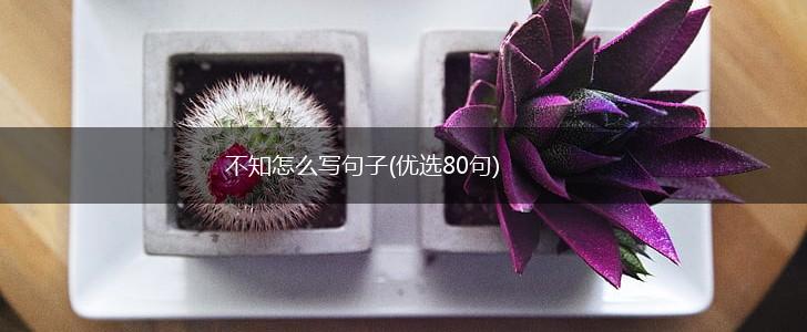 不知怎么写句子(优选80句),第1张
