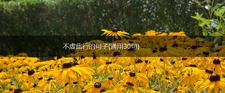不虚此行的句子(通用30句),第1张