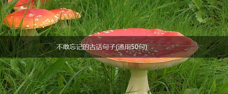 不敢忘记的古话句子(通用50句),第1张