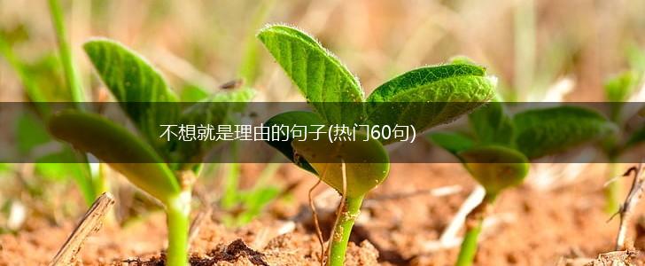 不想就是理由的句子(热门60句),第1张