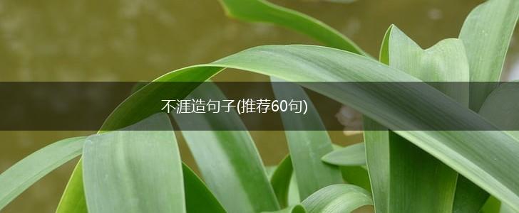 不涯造句子(推荐60句),第1张