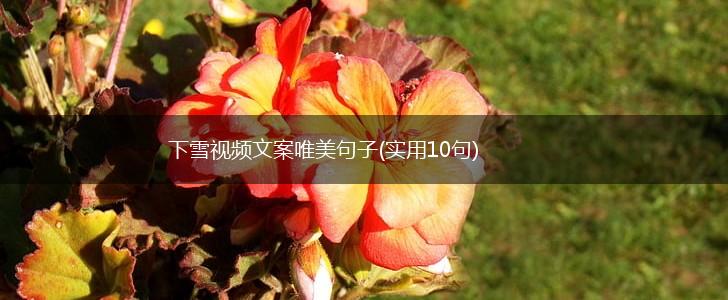 下雪视频文案唯美句子(实用10句),第1张