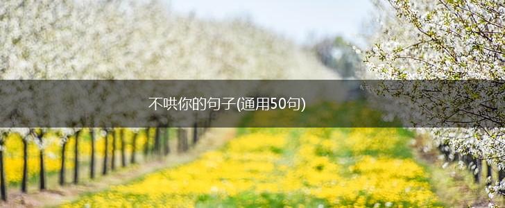 不哄你的句子(通用50句),第1张
