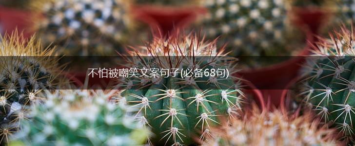 不怕被嘲笑文案句子(必备68句),第1张