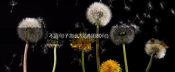 不肯句子怎么写(通用80句),第1张