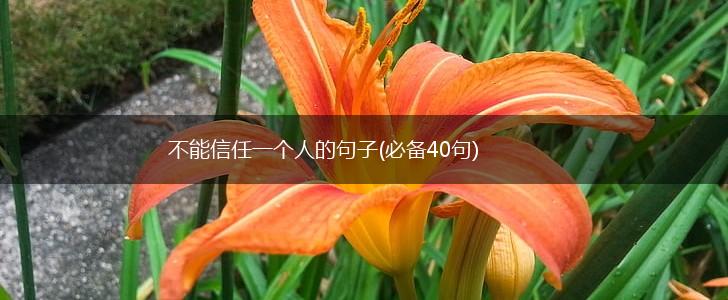不能信任一个人的句子(必备40句),第1张