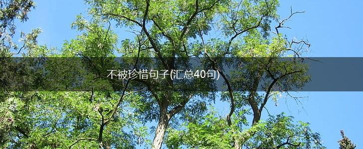 不被珍惜句子(汇总40句),第1张