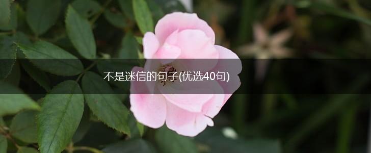 不是迷信的句子(优选40句),第1张