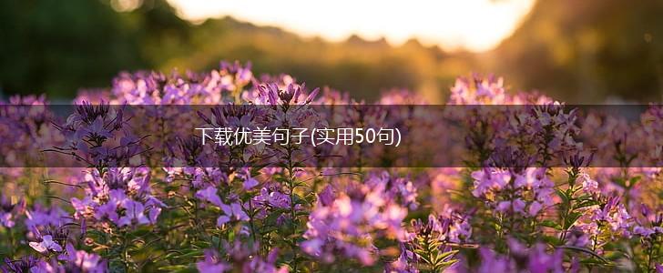 下载优美句子(实用50句),第1张