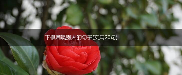 下棋嘲讽别人的句子(实用20句),第1张