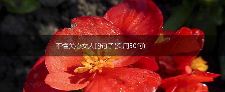 不懂关心女人的句子(实用50句),第1张