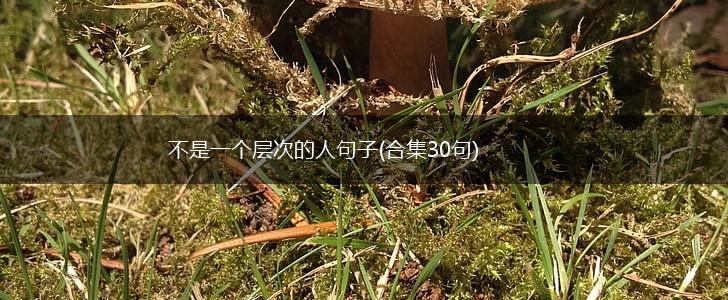 不是一个层次的人句子(合集30句),第1张 不是一个层次的人句子(合集30句),第1张