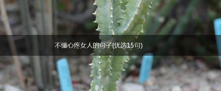 不懂心疼女人的句子(优选15句),第1张