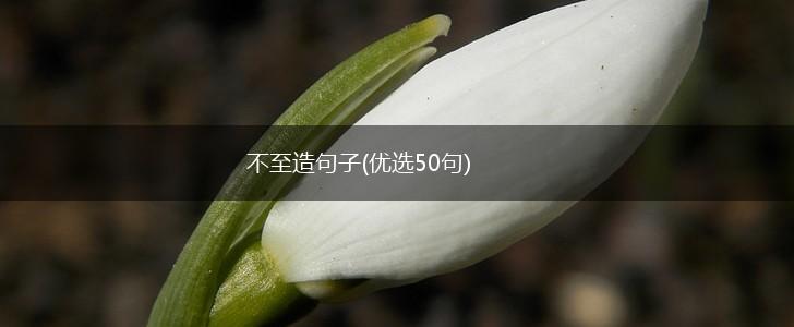 不至造句子(优选50句),第1张