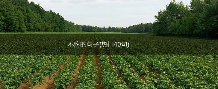 不疼的句子(热门40句),第1张