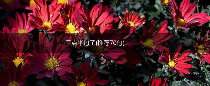 三点半句子(推荐70句),第1张
