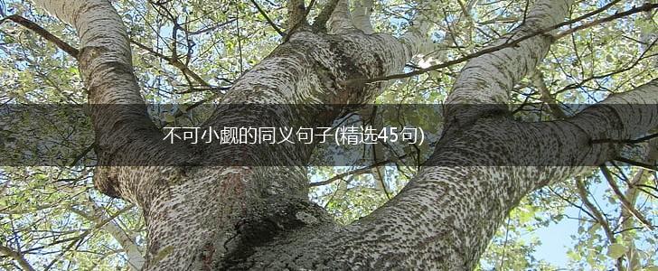 不可小觑的同义句子(精选45句),第1张