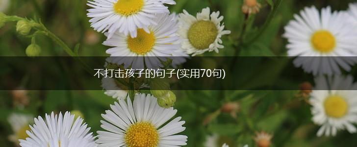 不打击孩子的句子(实用70句),第1张