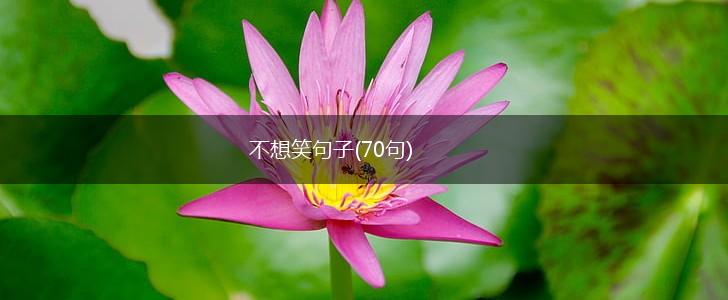 不想笑句子(70句),第1张