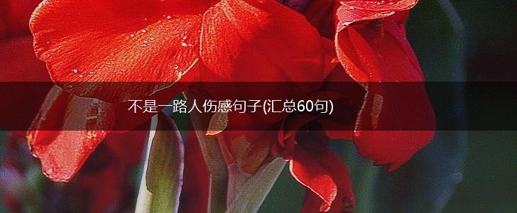 不是一路人伤感句子(汇总60句),第1张 不是一路人伤感句子(汇总60句),第1张