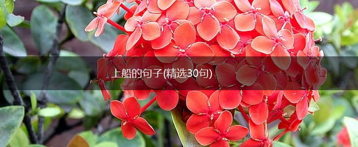 上船的句子(精选30句),第1张