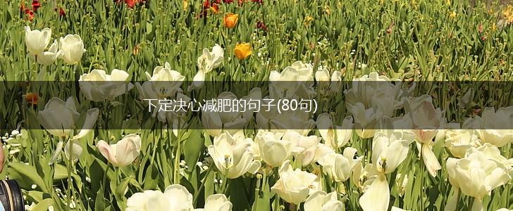 下定决心减肥的句子(80句),第1张