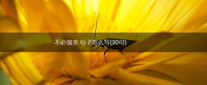 不必强求 句子怎么写(30句),第1张