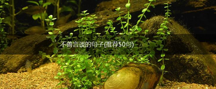 不善言谈的句子(推荐50句),第1张