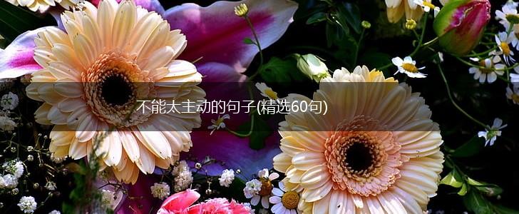 不能太主动的句子(精选60句),第1张