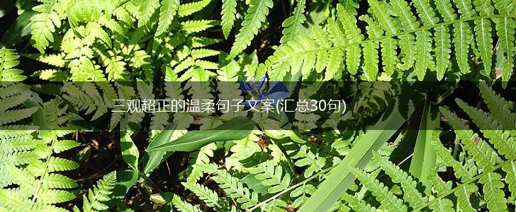 三观超正的温柔句子文案(汇总30句),第1张