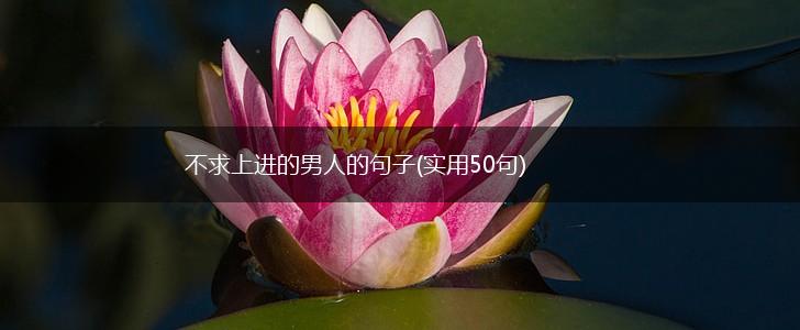 不求上进的男人的句子(实用50句),第1张