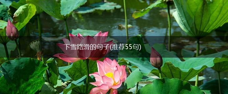 下雪路滑的句子(推荐55句),第1张