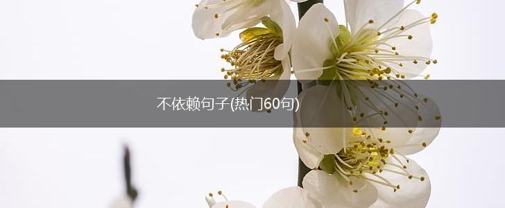 不依赖句子(热门60句),第1张