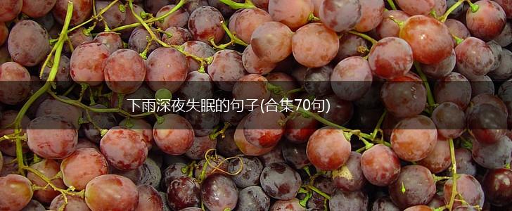 下雨深夜失眠的句子(合集70句),第1张