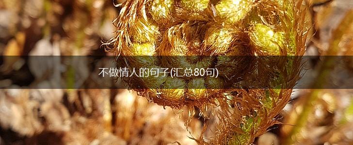 不做情人的句子(汇总80句),第1张
