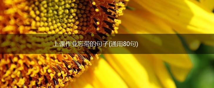 上课作业忘带的句子(通用80句),第1张