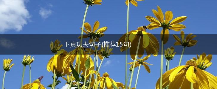 下真功夫句子(推荐15句),第1张