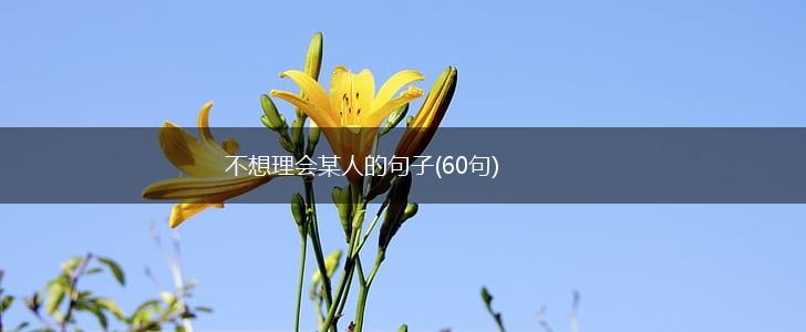 不想理会某人的句子(60句),第1张