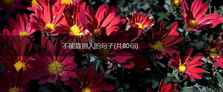 不能靠别人的句子(共80句),第1张