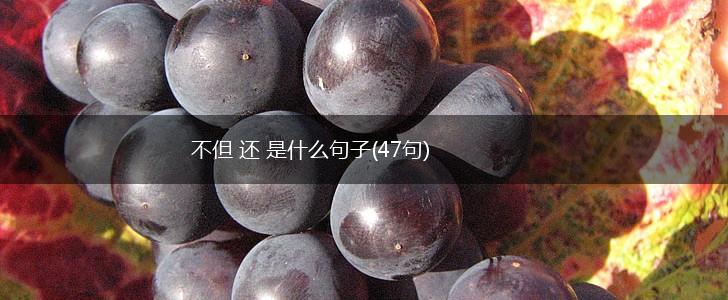不但 还 是什么句子(47句),第1张