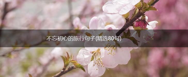 不忘初心的旅行句子(精选80句),第1张