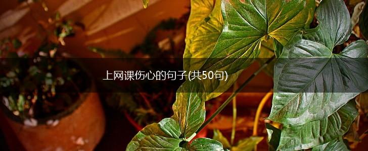 上网课伤心的句子(共50句),第1张