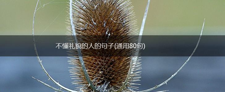 不懂礼貌的人的句子(通用80句),第1张