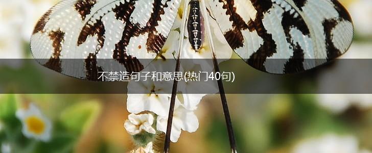 不禁造句子和意思(热门40句),第1张