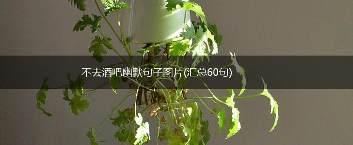 不去酒吧幽默句子图片(汇总60句),第1张