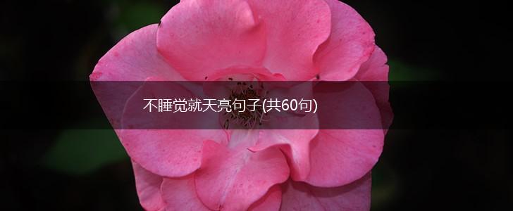 不睡觉就天亮句子(共60句),第1张