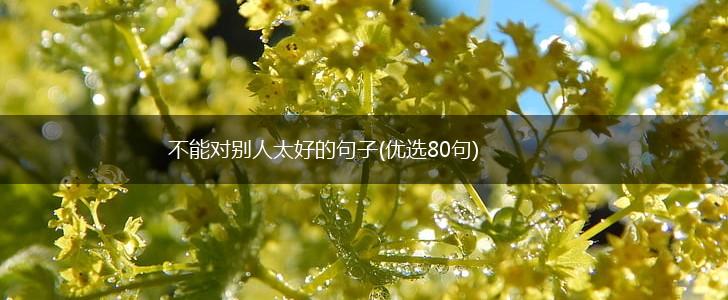 不能对别人太好的句子(优选80句),第1张