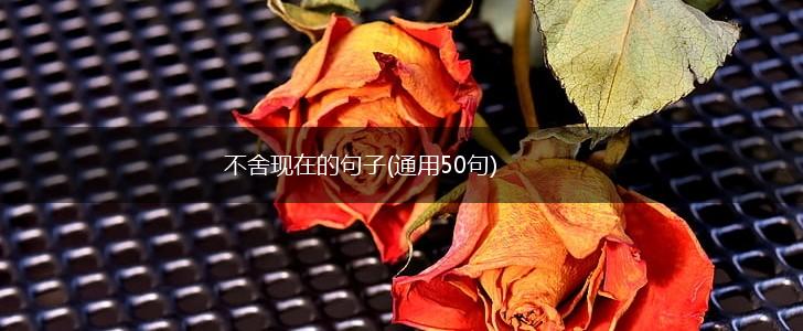 不舍现在的句子(通用50句),第1张