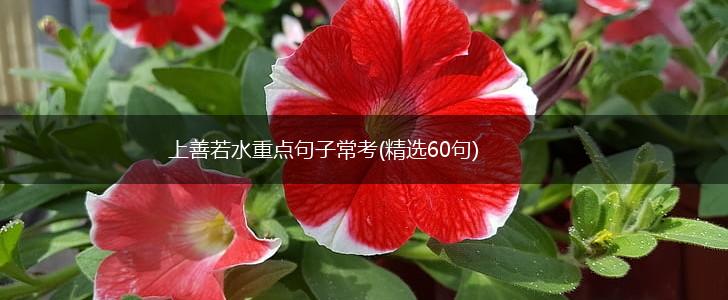 上善若水重点句子常考(精选60句),第1张
